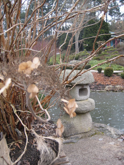 Japanischer Garten Westfalenpark