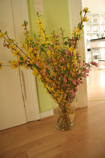 Osterstrauch 2009