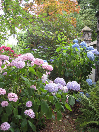Westfalenpark ein Idyll 2009