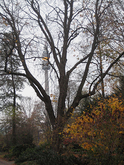 Westfalenpark im November 09