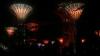 Supertrees-im-Garden-by-the-Bay