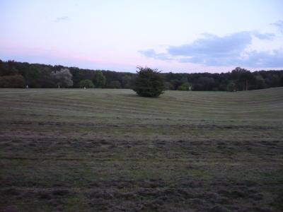 Blogfoto15_ForstBotGarten