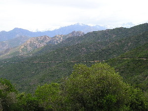 berge