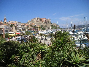 calvi