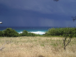 windhose