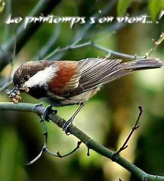 16printemps
