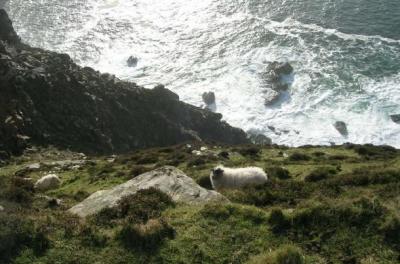 selbstmordgefährdet