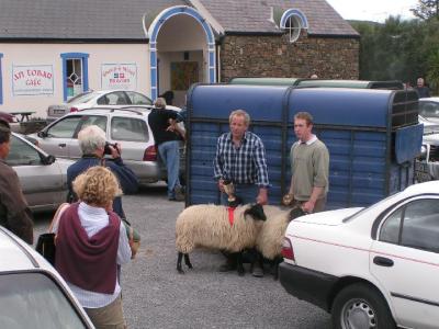 ich nehme das im karierten hemd