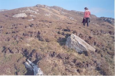 irische elfen haben die gemeinsten zaubersprüche