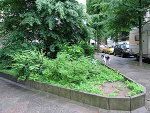 Erlanger_Ecke Reuterstrasse Erlanger_Ecke Reuterstrasse