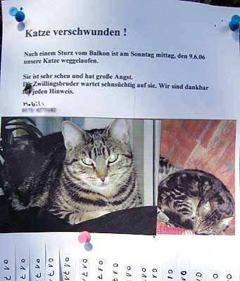Gefunden in der Lichtenrader Straße/Tel. Nr. ist uns bekannt