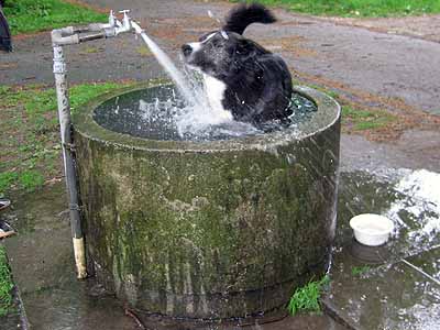 Badewanne