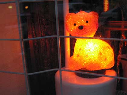 fenster