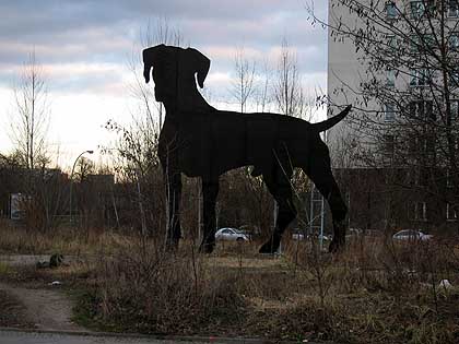 hund8