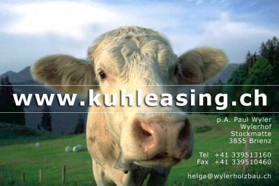 kuhleasing